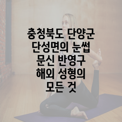 충청북도 단양군 단성면의 눈썹 문신 반영구 해외 성형의 모든 것