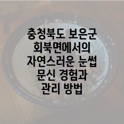 충청북도 보은군 회북면에서의 자연스러운 눈썹 문신 경험과 관리 방법