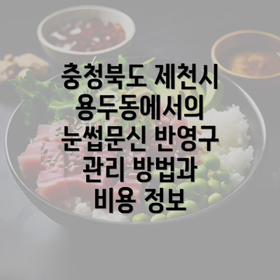 충청북도 제천시 용두동에서의 눈썹문신 반영구 관리 방법과 비용 정보