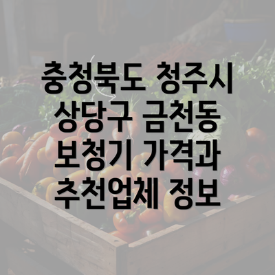 충청북도 청주시 상당구 금천동 보청기 가격과 추천업체 정보