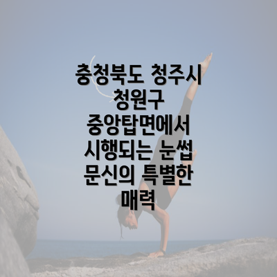 충청북도 청주시 청원구 중앙탑면에서 시행되는 눈썹 문신의 특별한 매력