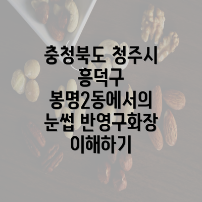 충청북도 청주시 흥덕구 봉명2동에서의 눈썹 반영구화장 이해하기