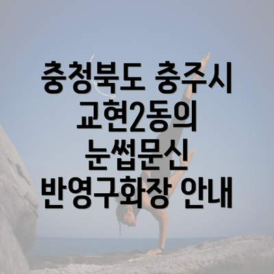 충청북도 충주시 교현2동의 눈썹문신 반영구화장 안내