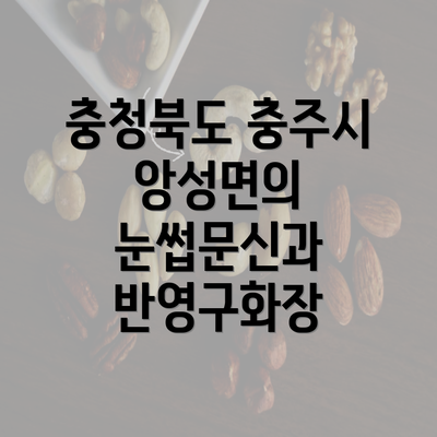 충청북도 충주시 앙성면의 눈썹문신과 반영구화장