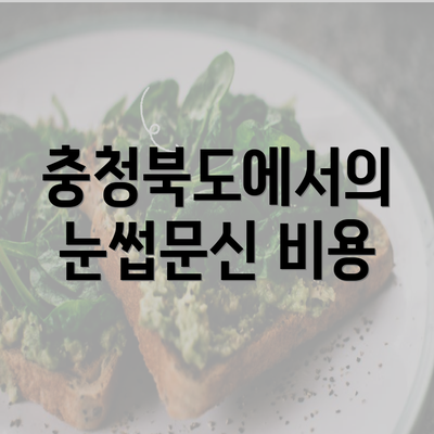 충청북도에서의 눈썹문신 비용