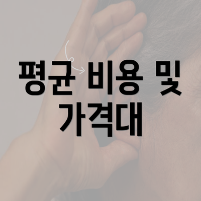 평균 비용 및 가격대