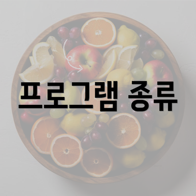 프로그램 종류