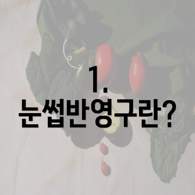 1. 눈썹반영구란?