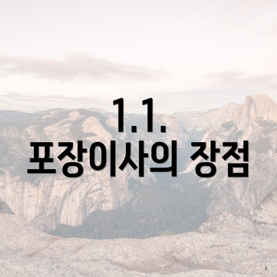 1.1. 포장이사의 장점