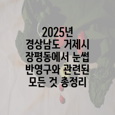 2025년 경상남도 거제시 장평동에서 눈썹 반영구와 관련된 모든 것 총정리