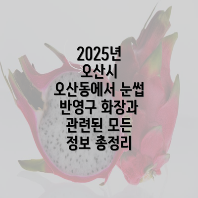 2025년 오산시 오산동에서 눈썹 반영구 화장과 관련된 모든 정보 총정리