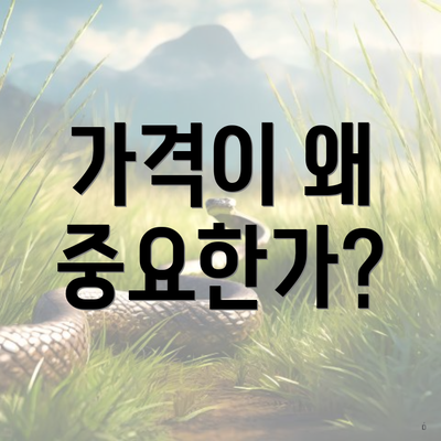 가격이 왜 중요한가?