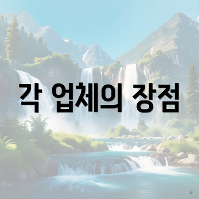 각 업체의 장점