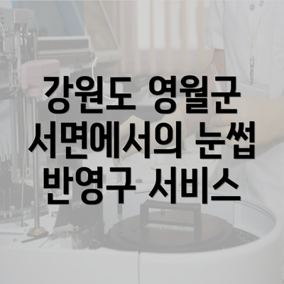 강원도 영월군 서면에서의 눈썹 반영구 서비스