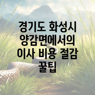 경기도 화성시 양감면에서의 이사 비용 절감 꿀팁