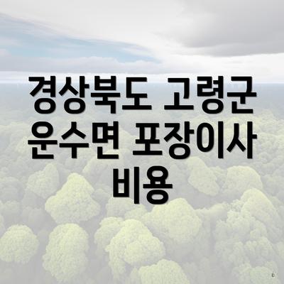 경상북도 고령군 운수면 포장이사 비용