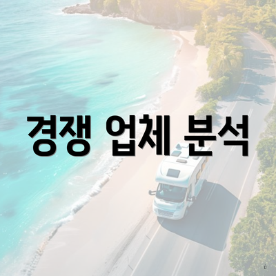 경쟁 업체 분석