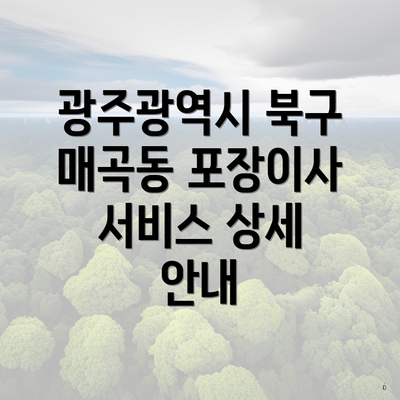 광주광역시 북구 매곡동 포장이사 서비스 상세 안내