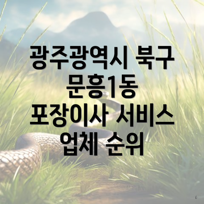 광주광역시 북구 문흥1동 포장이사 서비스 업체 순위