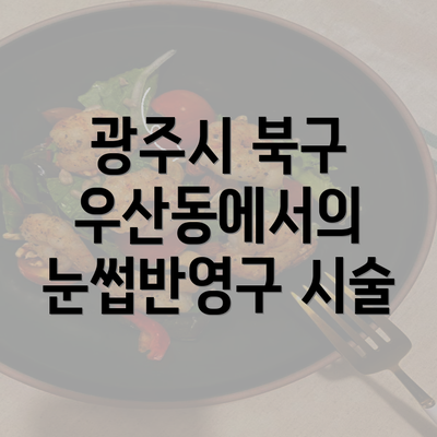 광주시 북구 우산동에서의 눈썹반영구 시술