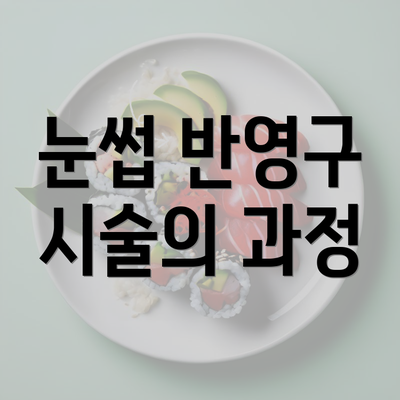 눈썹 반영구 시술의 과정