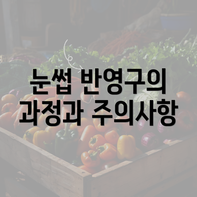 눈썹 반영구의 과정과 주의사항