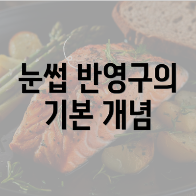 눈썹 반영구의 기본 개념