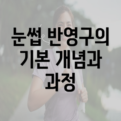 눈썹 반영구의 기본 개념과 과정