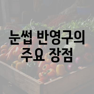 눈썹 반영구의 주요 장점