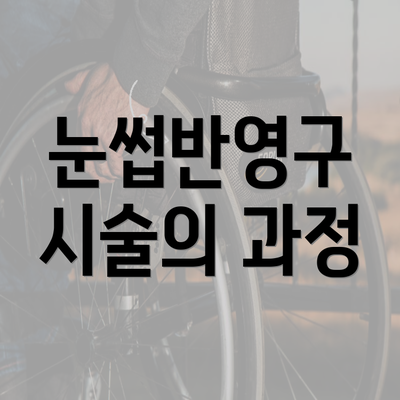 눈썹반영구 시술의 과정