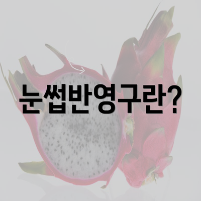 눈썹반영구란?