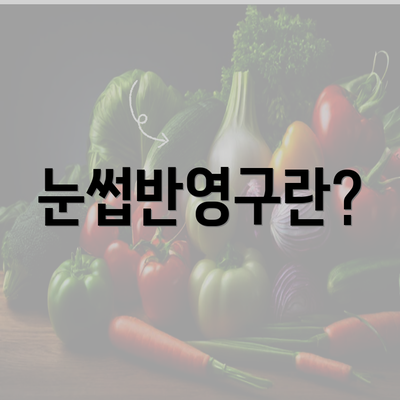 눈썹반영구란?