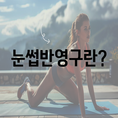 눈썹반영구란?