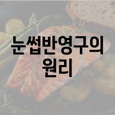 눈썹반영구의 원리