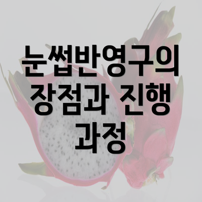 눈썹반영구의 장점과 진행 과정