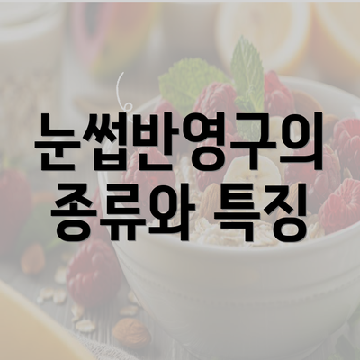 눈썹반영구의 종류와 특징