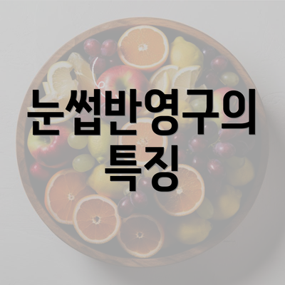 눈썹반영구의 특징