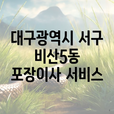 대구광역시 서구 비산5동 포장이사 서비스