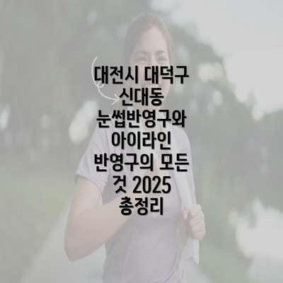 대전시 대덕구 신대동 눈썹반영구와 아이라인 반영구의 모든 것 2025 총정리