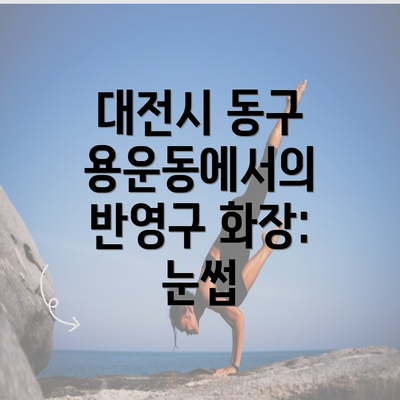 대전시 동구 용운동에서의 반영구 화장: 눈썹