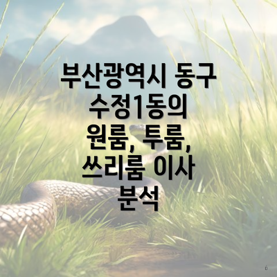 부산광역시 동구 수정1동의 원룸, 투룸, 쓰리룸 이사 분석