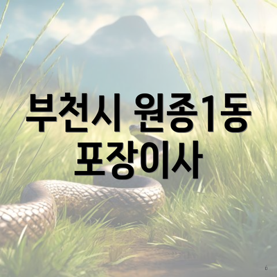 부천시 원종1동 포장이사