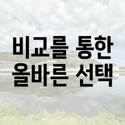 비교를 통한 올바른 선택