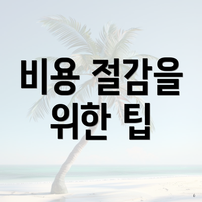 비용 절감을 위한 팁