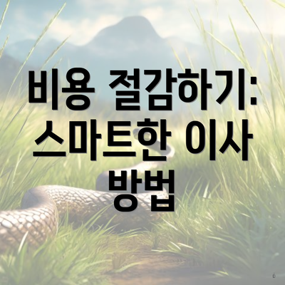 비용 절감하기: 스마트한 이사 방법