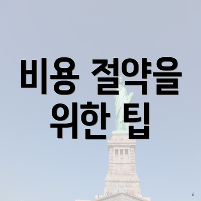 비용 절약을 위한 팁