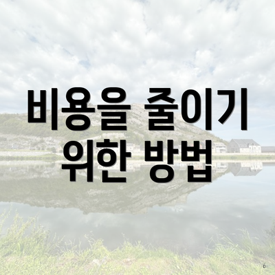 비용을 줄이기 위한 방법