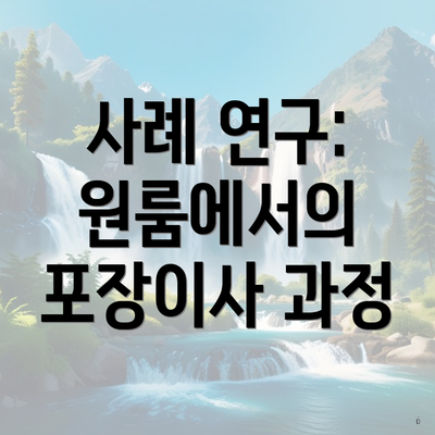 사례 연구: 원룸에서의 포장이사 과정