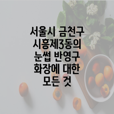 서울시 금천구 시흥제3동의 눈썹 반영구 화장에 대한 모든 것