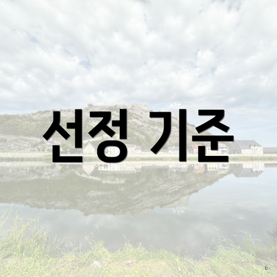 선정 기준